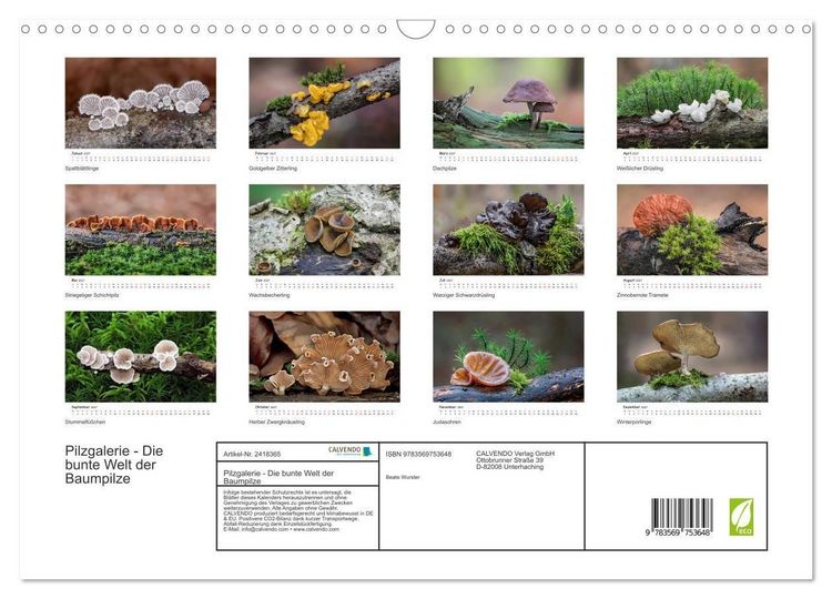 Produktbild: Pilzgalerie - Die bunte Welt der Baumpilze (Wandkalender 2027 DIN A3 quer), CALVENDO Monatskalender