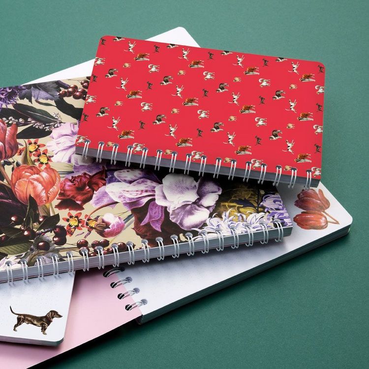 Produktbild: Ringbuch A5 Bello
