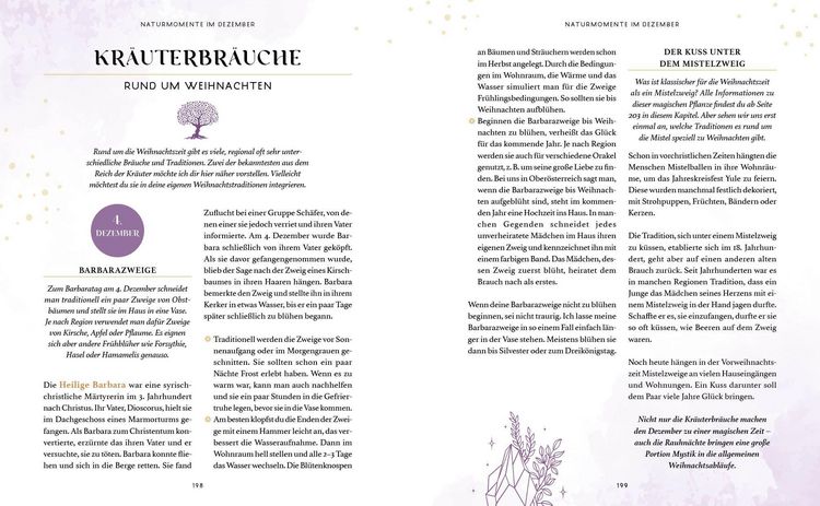 Produktbild: Zaubernuss und Waldmagie &ndash; Naturmomente f&uuml;r deine Seele