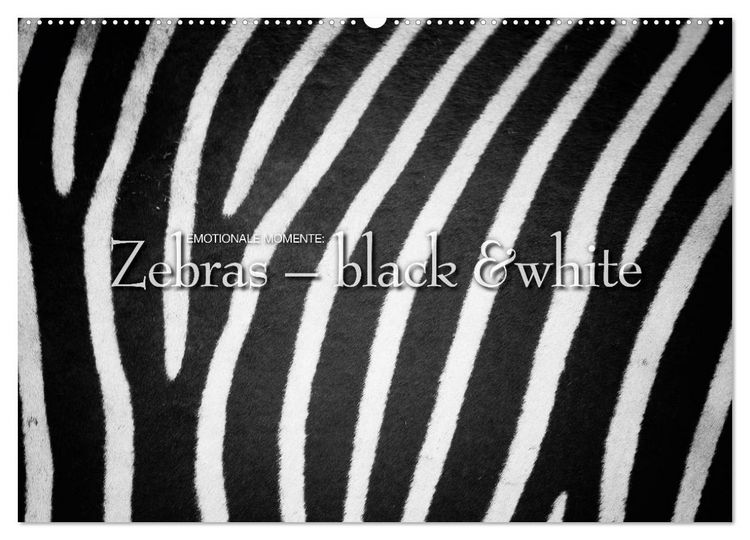 Produktbild: Emotionale Momente: Zebras - black & white. (Wandkalender 2026 DIN A2 quer), CALVENDO Monatskalender