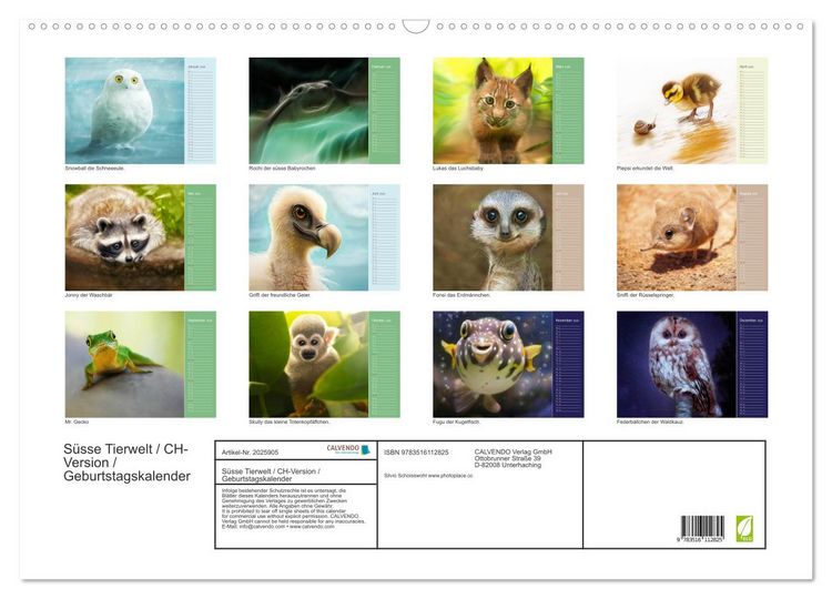 Produktbild: S&uuml;sse Tierwelt / CH-Version / Geburtstagskalender (Wandkalender 2026 DIN A2 quer), CALVENDO Monatskalender