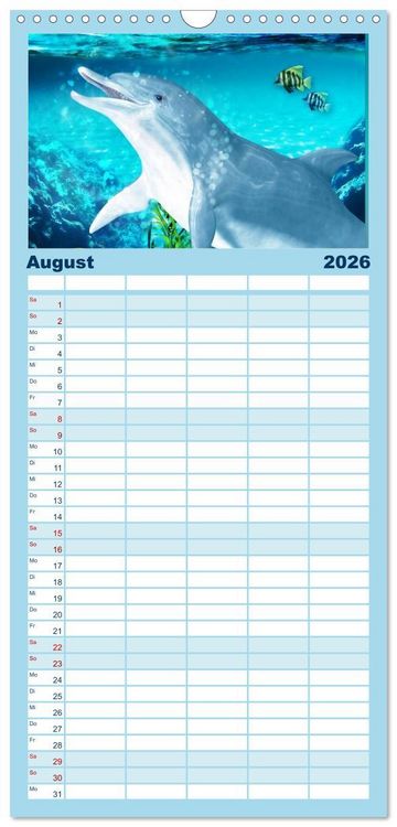 Produktbild: Familienplaner 2026 - Delfine - Kalender mit 5 Spalten (Wandkalender, 21 x 45 cm) CALVENDO
