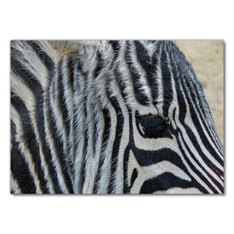 Produktbild: Lais Puzzle Zebra 1000 Teile