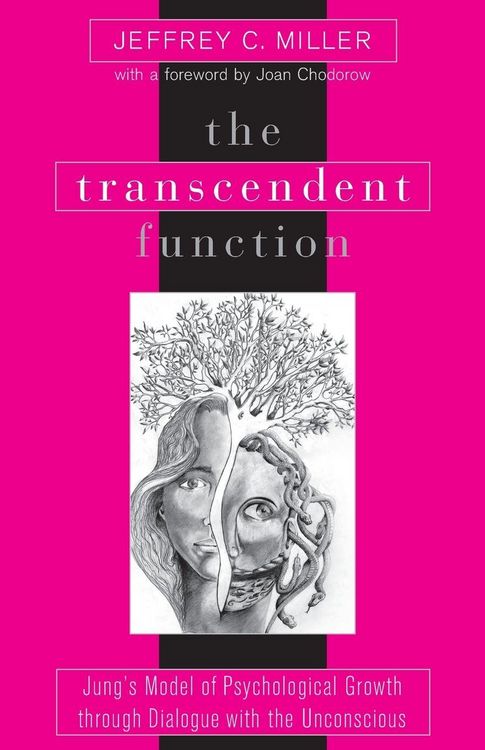 Produktbild: The Transcendent Function