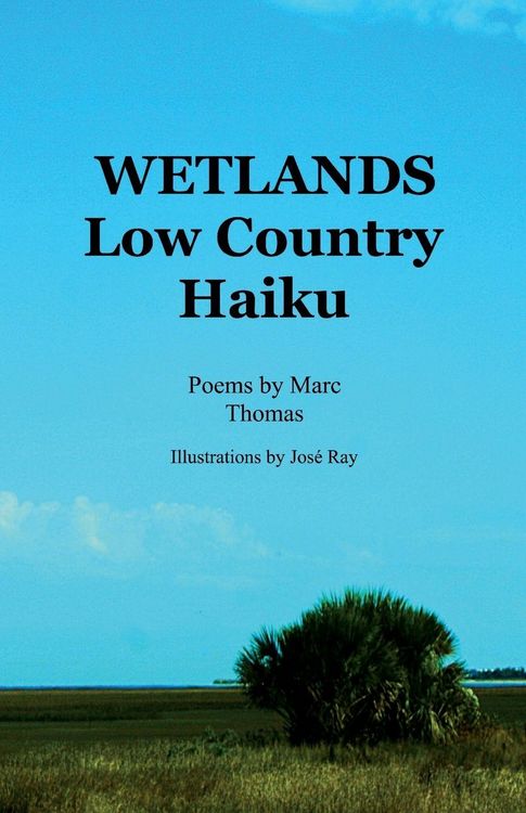 Produktbild: Wetlands