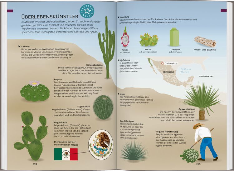 Produktbild: Baedeker Reisef&uuml;hrer Mexiko