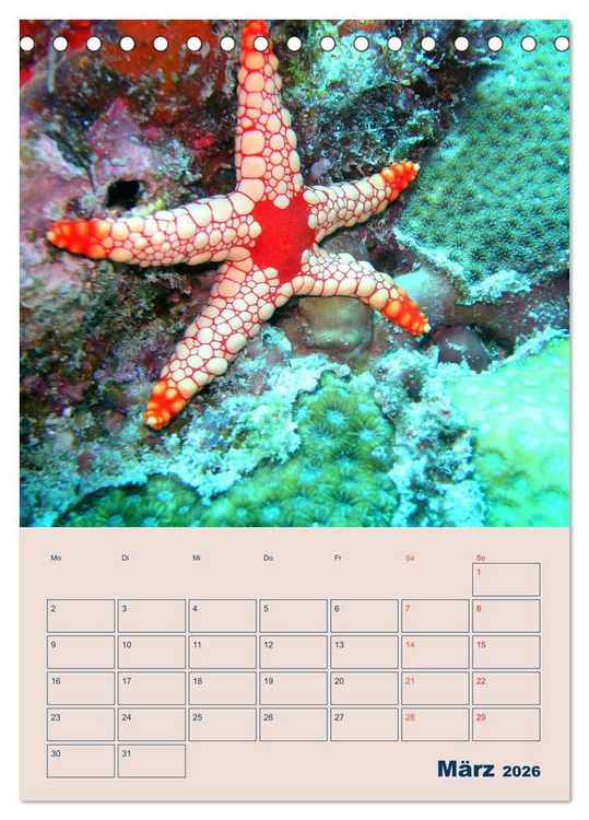 Produktbild: Mahe - Inselparadies der Seychellen (Tischkalender 2026 DIN A5 hoch), CALVENDO Monatskalender