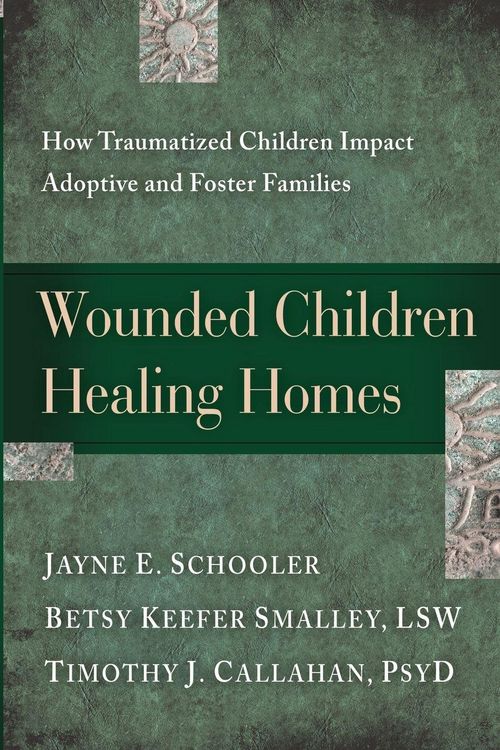 Produktbild: Wounded Children, Healing Homes