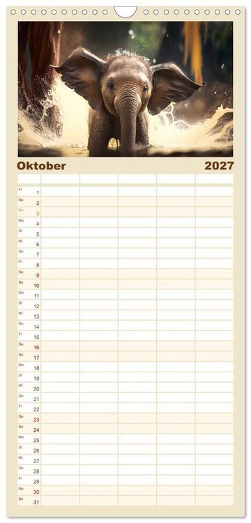 Produktbild: Familienplaner 2027 - Tierkinder beim Baden mit 5 Spalten (Wandkalender, 21 x 45 cm) CALVENDO