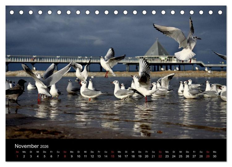 Produktbild: Usedom 2026 Rendezvous zwischen Ahlbeck und Heringsdorf (Tischkalender 2026 DIN A5 quer), CALVENDO Monatskalender