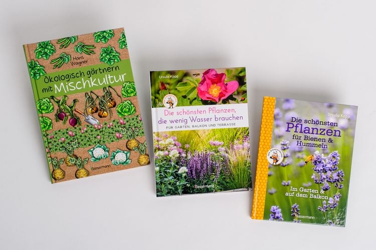 Produktbild: Die sch&ouml;nsten Pflanzen, die wenig Wasser brauchen f&uuml;r Garten, Balkon und Terrasse