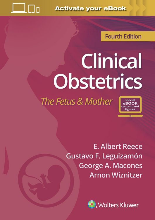 Produktbild: Reece, E: Clinical Obstetrics