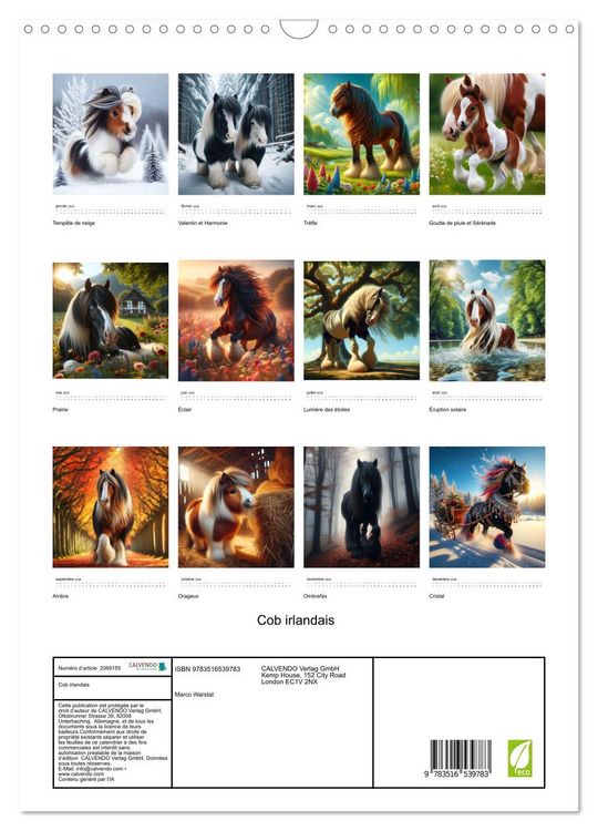 Produktbild: Cob irlandais (Calendrier mural 2026 DIN A3 horizontal), CALVENDO calendrier mensuel