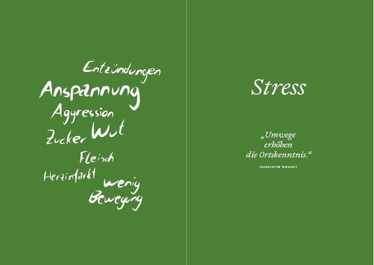 Produktbild: Frei von Stress durch die Heilung der Mitte