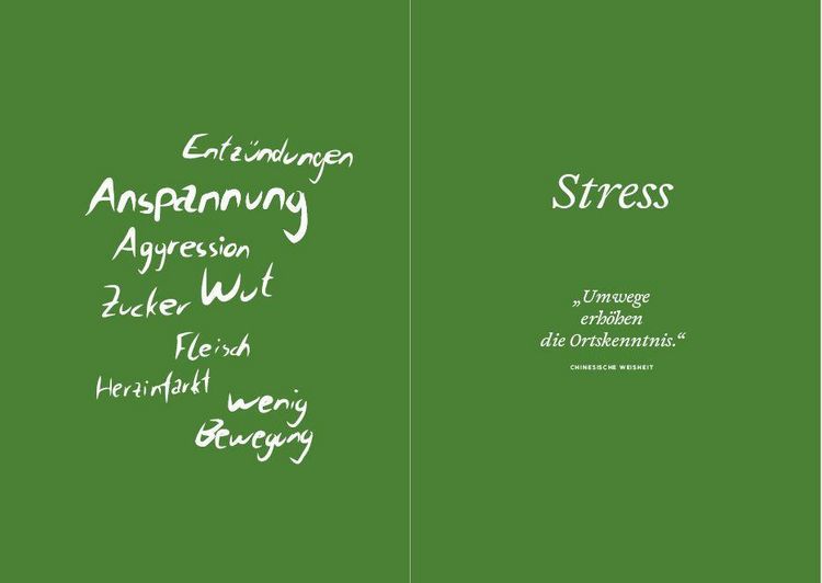 Produktbild: Frei von Stress durch die Heilung der Mitte