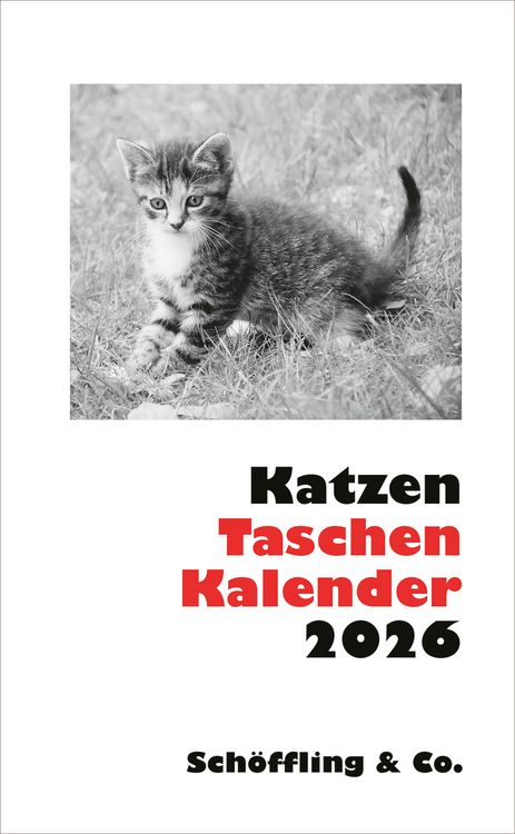 Produktbild: Katzen Taschenkalender 2026