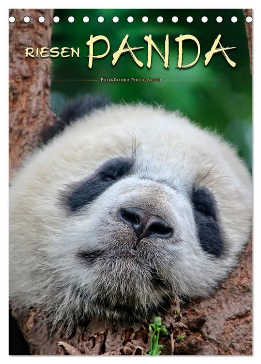 Produktbild: Riesenpanda (Tischkalender 2026 DIN A5 hoch), CALVENDO Monatskalender