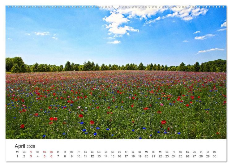 Produktbild: Die sch&ouml;nsten Blumenwiesen der Welt (Wandkalender 2026 DIN A2 quer), CALVENDO Monatskalender