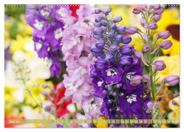 Produktbild: A Flower Festival (High Quality Premium Wall Calendar 2026 DIN A2 landscape),CALVENDO 12 Month Wall Calendar
