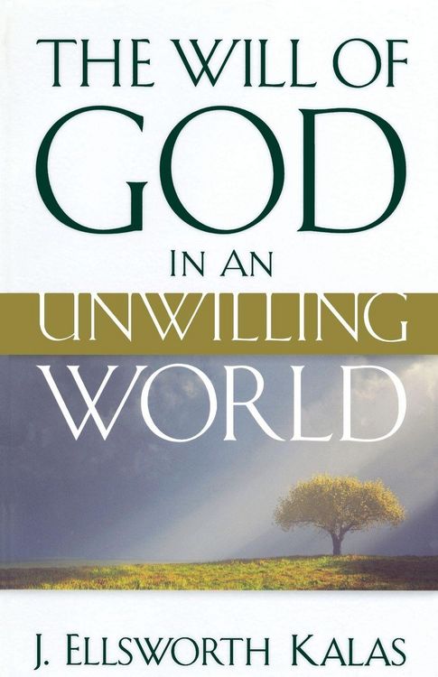 Produktbild: The Will of God in an Unwilling World