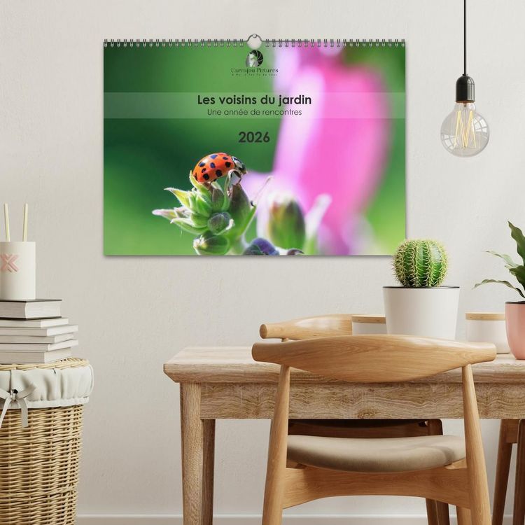 Produktbild: Les voisins du jardin - Une ann&eacute;e de rencontres (Calendrier mural 2027 DIN A3 vertical), CALVENDO calendrier mensuel