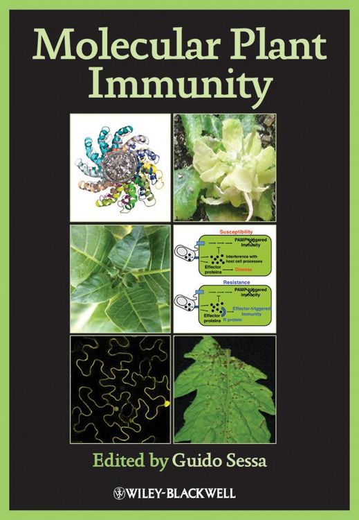 Produktbild: Molecular Plant Immunity