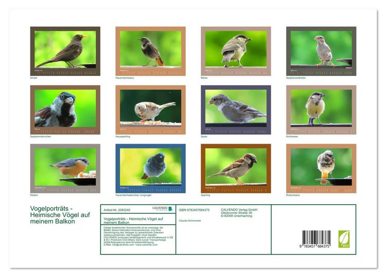 Produktbild: Vogelportr&auml;ts - Heimische V&ouml;gel auf meinem Balkon (hochwertiger Premium Wandkalender 2026 DIN A2 quer), Kunstdruck in Hochglanz