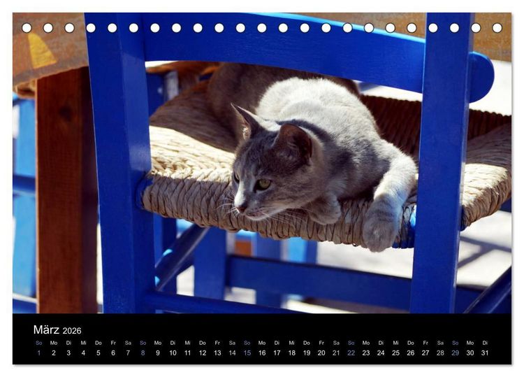 Produktbild: Katzensprung (Tischkalender 2026 DIN A5 quer), CALVENDO Monatskalender