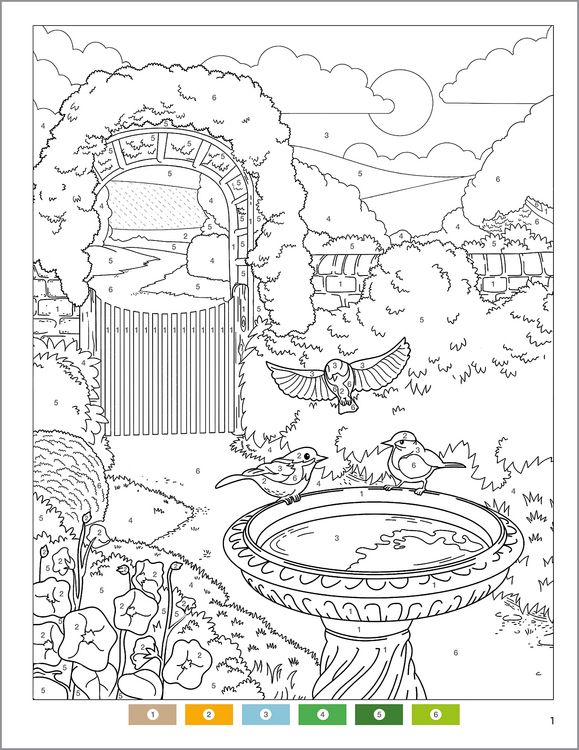 Produktbild: Garden Relaxation Color by Numbers for Adults