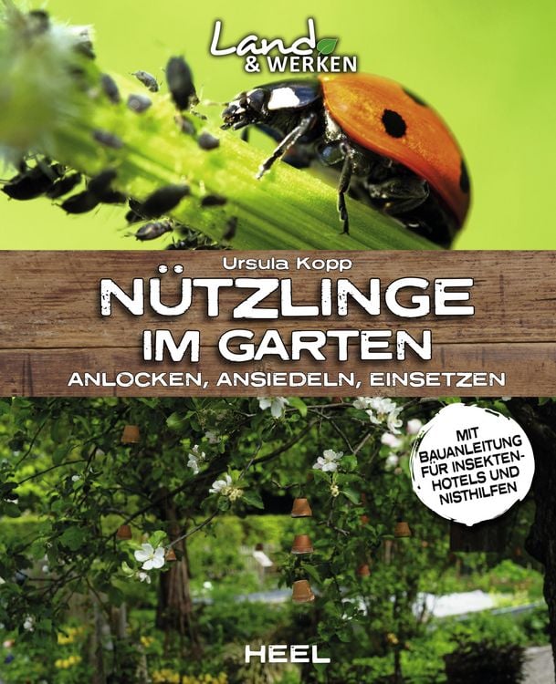 Bild vom Artikel Nützlinge im Garten vom Autor Ursula Kopp