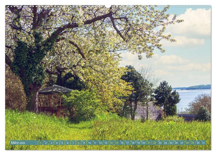 Produktbild: Buschvitz - Geografischer Mittelpunkt der Insel R&uuml;gen (hochwertiger Premium Wandkalender 2026 DIN A2 quer), Kunstdruck in Hochglanz