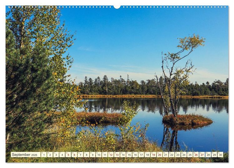 Produktbild: Moor und Riedlandschaften im S&uuml;dwesten (Wandkalender 2026 DIN A2 quer), CALVENDO Monatskalender