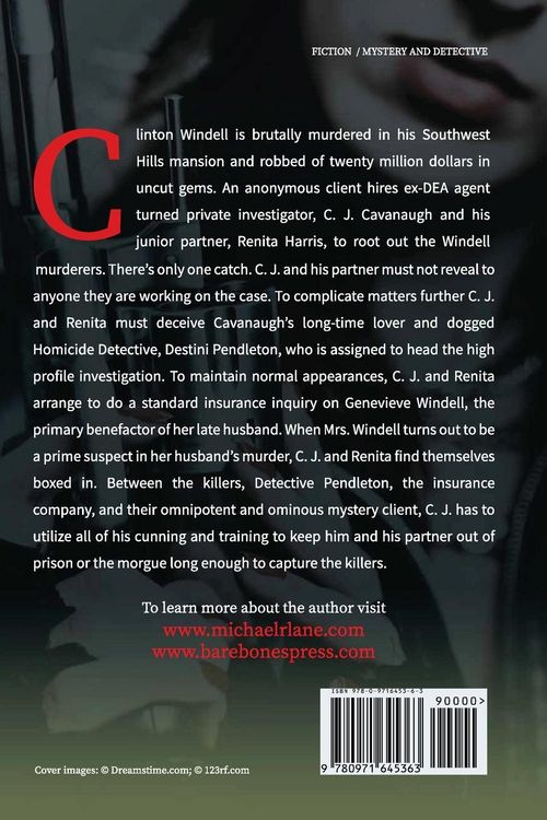 Produktbild: The Gem Connection (A C. J. Cavanaugh Mystery)