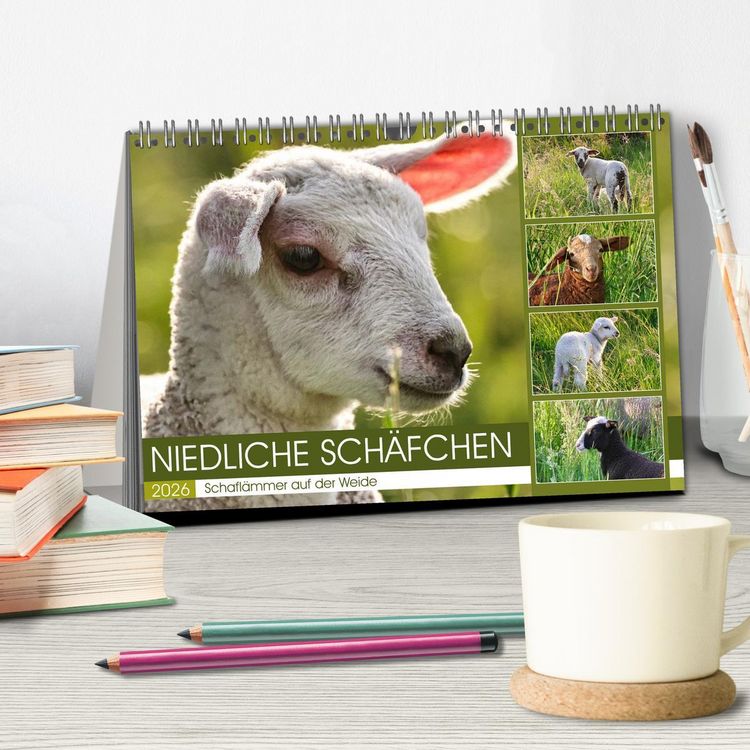 Produktbild: Niedliche Sch&auml;fchen (Tischkalender 2026 DIN A5 quer), CALVENDO Monatskalender