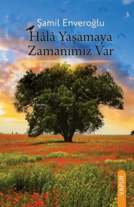 Produktbild: Hala Yasamaya Zamanimiz Var
