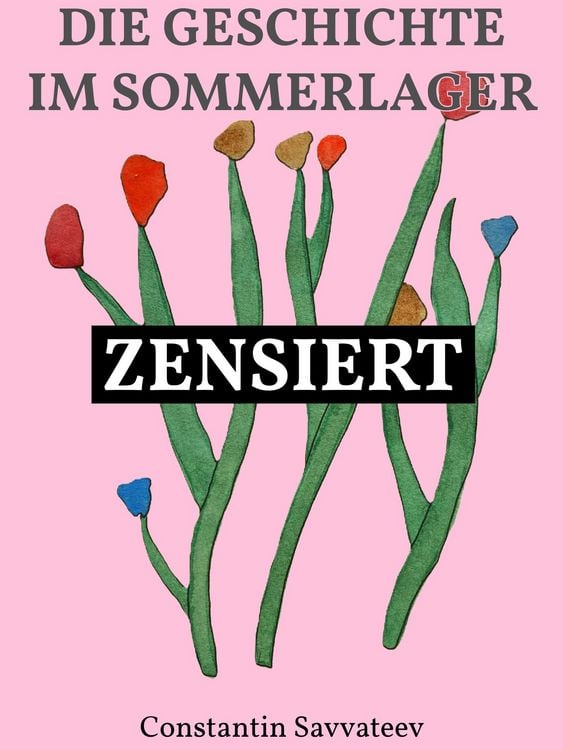 Produktbild: Die Geschichte im Sommerlager