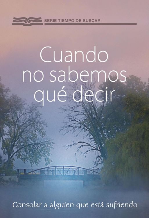 Produktbild: Cuando no sabemos qu&eacute; decir