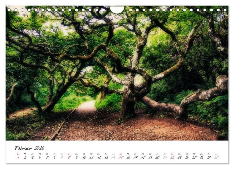 Produktbild: Romantisches Gro&szlig;britannien (Wandkalender 2026 DIN A4 quer), CALVENDO Monatskalender