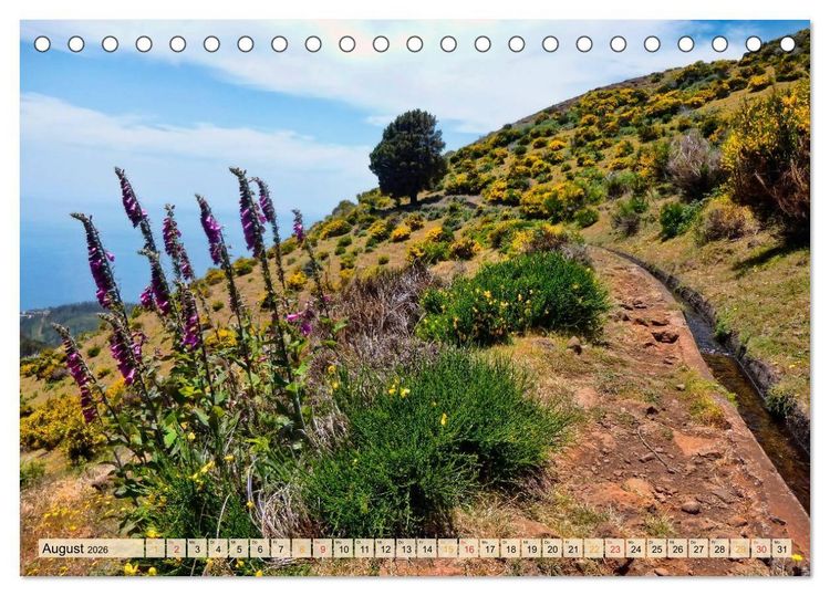 Produktbild: Madeira - blaues Wasser, gr&uuml;ne Berge, bunte Blumen (Tischkalender 2026 DIN A5 quer), CALVENDO Monatskalender