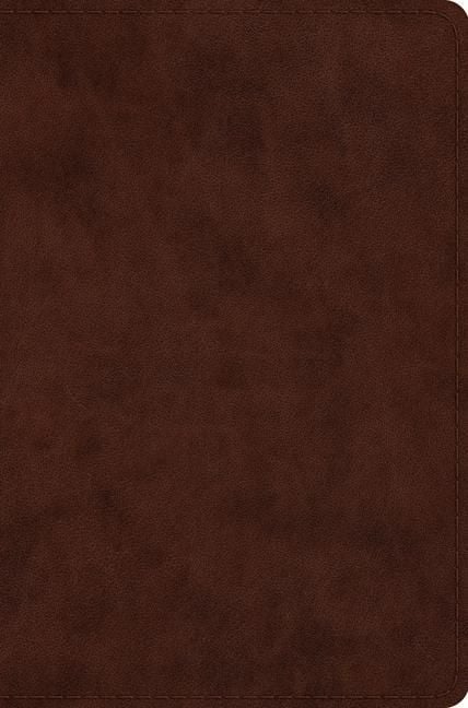 Produktbild: ESV Compact Bible (TruTone, Brown)