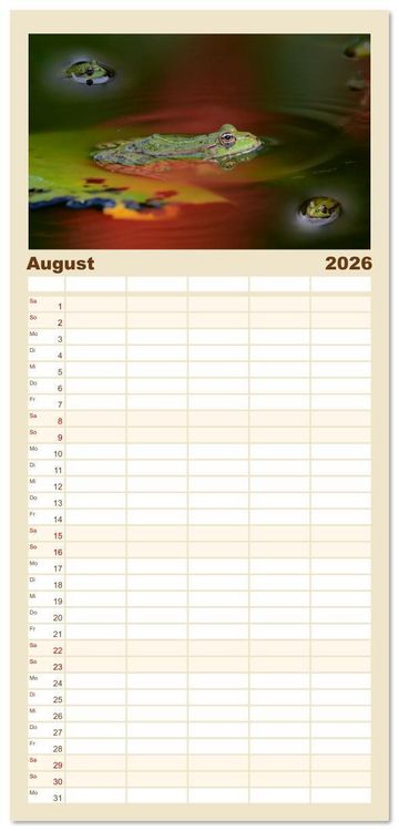 Produktbild: Familienplaner 2026 - Frosch Karl, Hans und Max im Einklang der Natur mit 5 Spalten (Wandkalender, 21 x 45 cm) CALVENDO