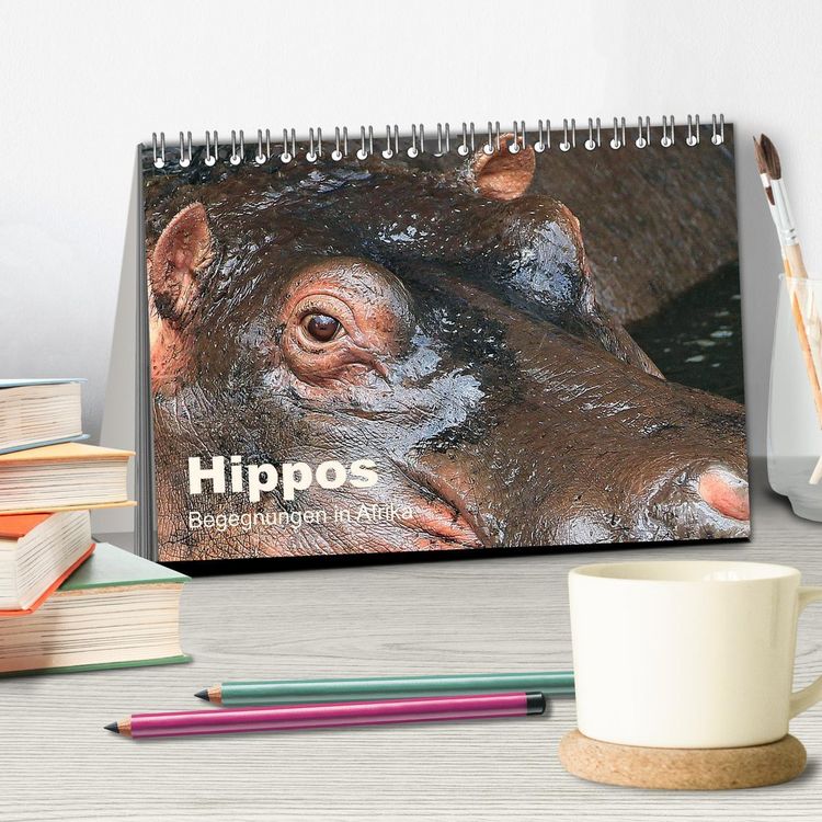 Produktbild: Hippos - Begegnungen in Afrika (Tischkalender 2026 DIN A5 quer), CALVENDO Monatskalender