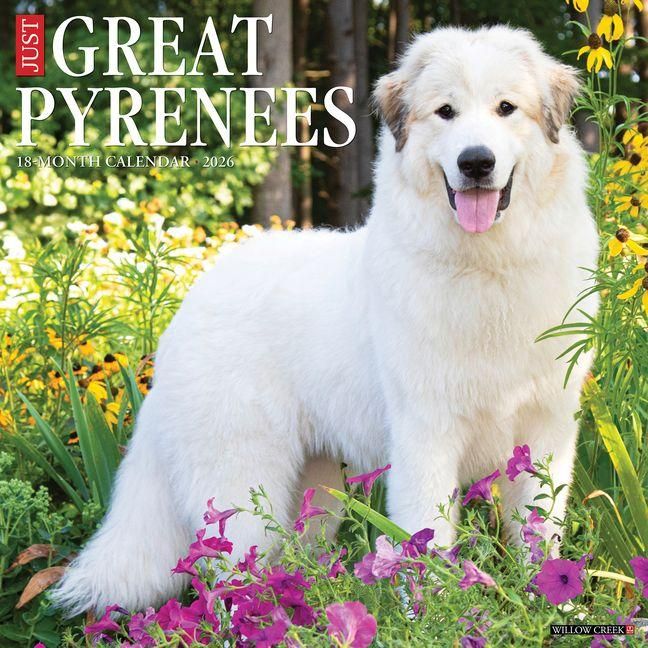 Produktbild: Great Pyrenees 2026 Wall Calendar