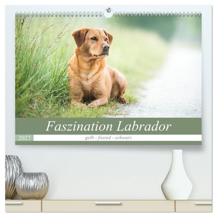 Produktbild: Faszination Labrador - gelb, foxred, schwarz (hochwertiger Premium Wandkalender 2027 DIN A2 quer), Kunstdruck in Hochglanz