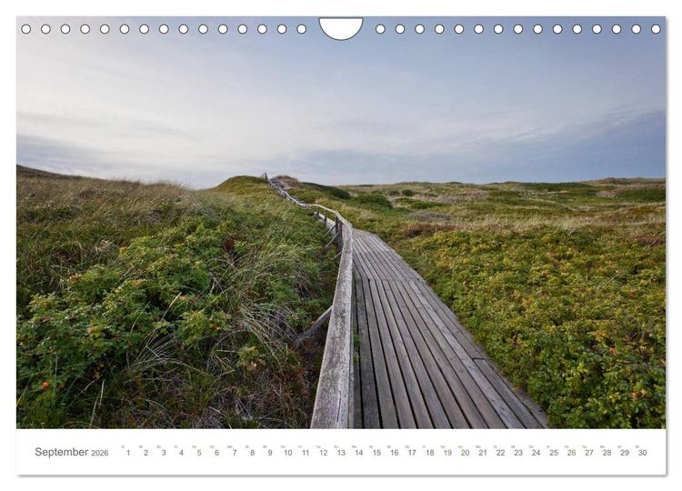 Produktbild: Stege & Wege auf Sylt (Wandkalender 2026 DIN A4 quer), CALVENDO Monatskalender