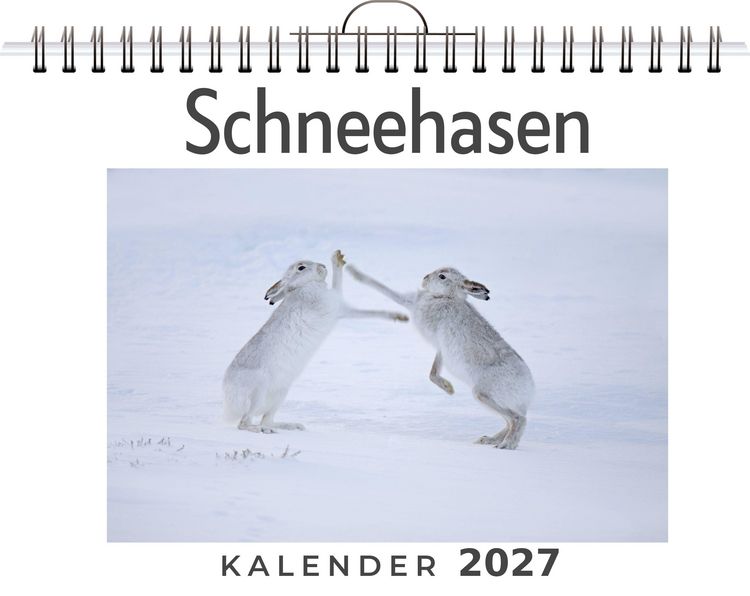 Produktbild: Schneehasen