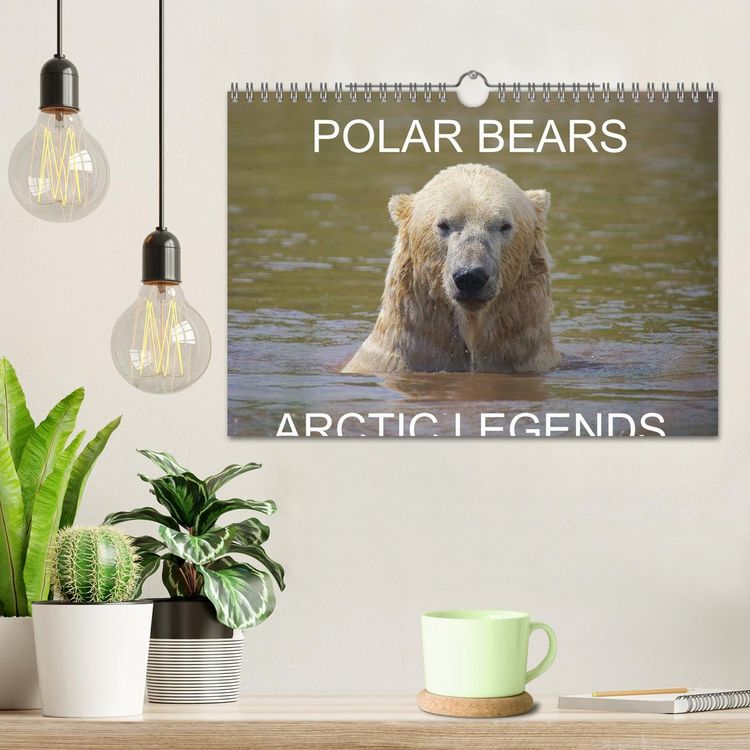 Produktbild: POLAR BEARS - ARCTIC LEGENDS (Wall Calendar 2026 DIN A4 landscape), CALVENDO 12 Month Wall Calendar