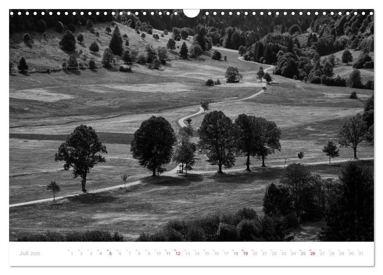 Produktbild: Mystischer Schwarzwald (Wandkalender 2026 DIN A3 quer), CALVENDO Monatskalender