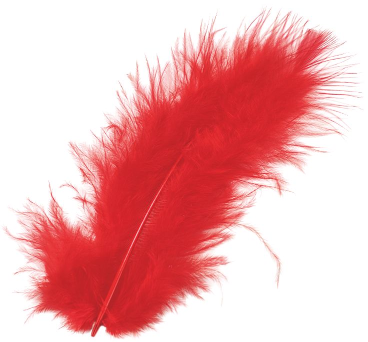 Produktbild: Marabufedern | 100 mm, rot, 15 St&uuml;ck
