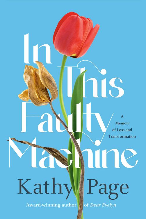 Produktbild: In This Faulty Machine